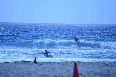 DSC_4991 (Large).JPG